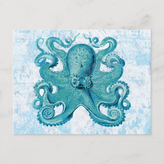 Carte Postale Octopus Marine Vie Océan Animaux Plage Vie (Devant)