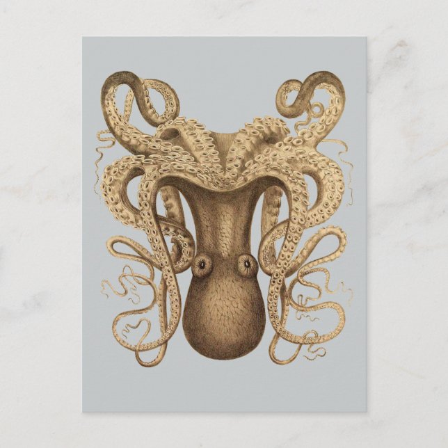Carte Postale Octopus Marmoratus (bleu) (Devant)