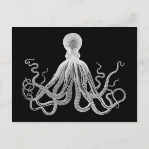Carte Postale Octopus vintage