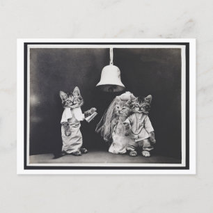 Carte postale Oddity Vintage Mariage Chat