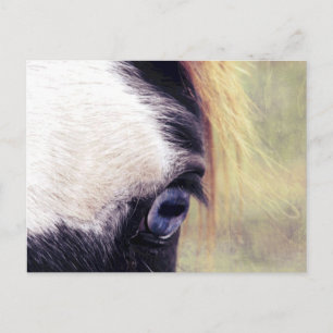 Carte Postale Oeil bleu