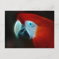 Oeil bleu de perroquet fractal rouge