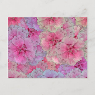 Carte Postale Oeillets roses au style vintage