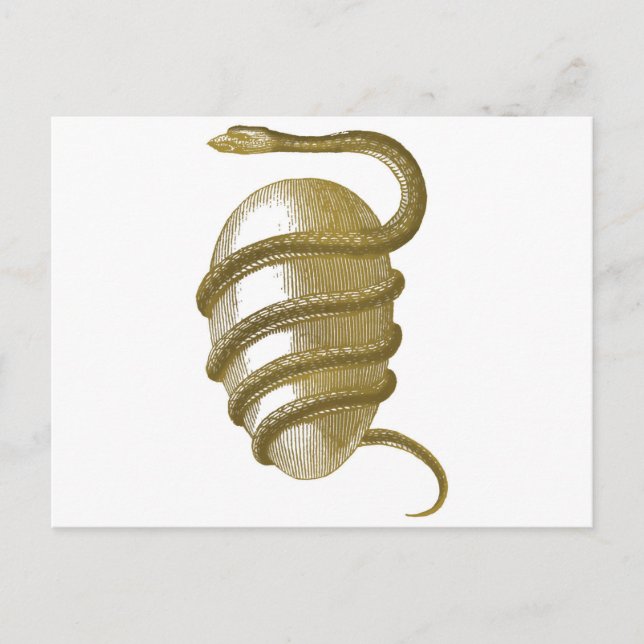 Carte Postale OEuf cosmique (Devant)