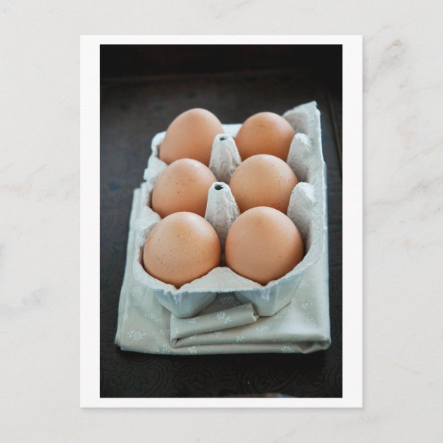 Carte Postale Oeufs (Devant)