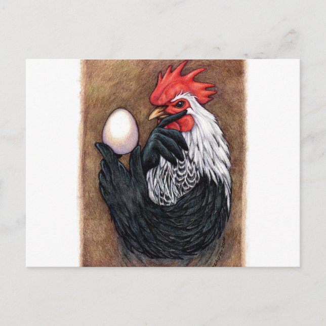 Carte Postale Oeufs de coq Dessin Philosophe de poulet (Devant)