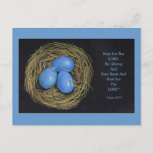 Carte Postale Oeufs d'oiseaux dans le nid : Verse biblique des P