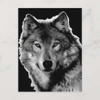 Œuvre d'art Loup Noir & Blanc
