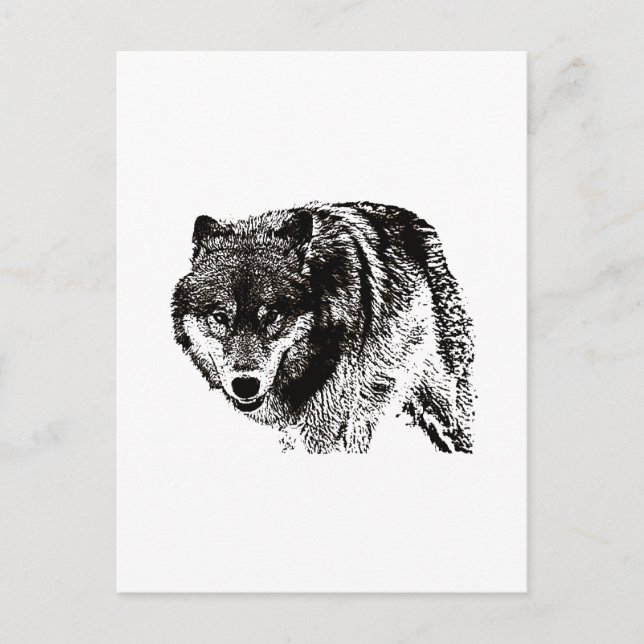 Carte Postale Oeuvre d'art noir et blanc Wild Wolf (Devant)