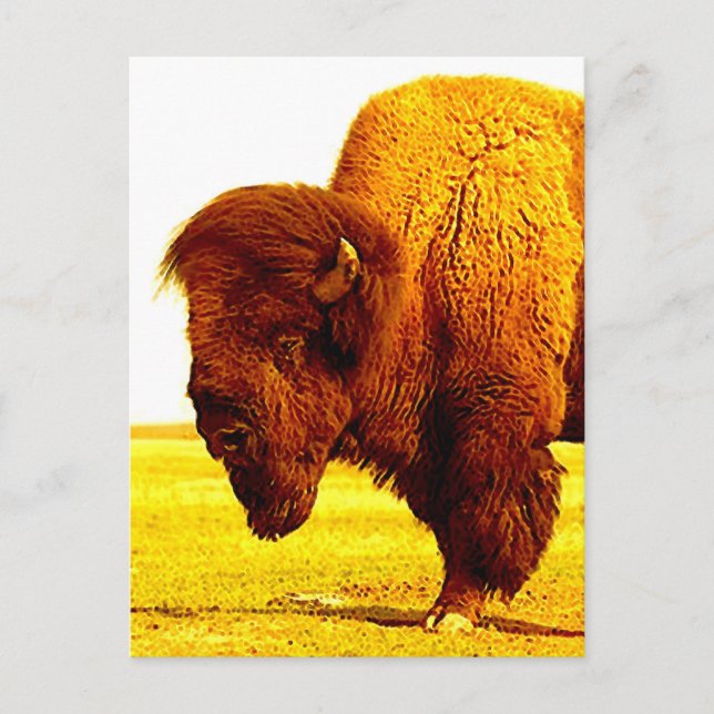 Carte Postale Oeuvre de Bison / Tête de Buffalo (Devant)