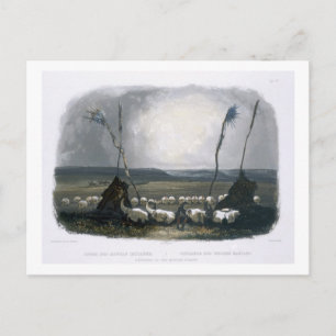 Carte Postale Offre des indiens Mandan, assiette 14 de Volu