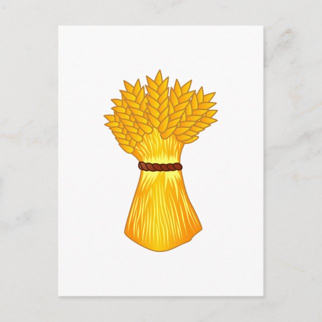 Carte Postale Offre groupée de blé (Devant)