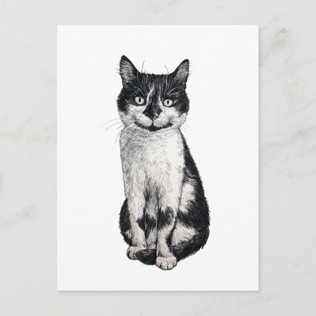 Carte Postale Ogie le chat (Devant)