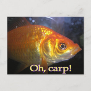 Carte Postale Oh, carpe !
