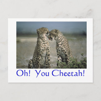 Carte Postale Oh! Cheetah !