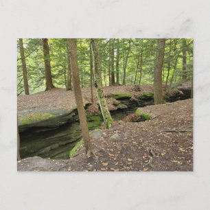 Carte postale OH des Ledges, Cuyahoga Valley Nat'l