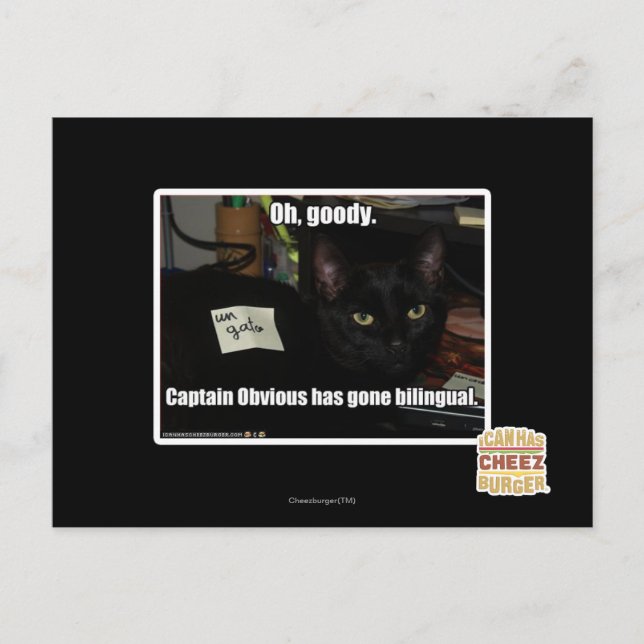 Carte Postale Oh, mon dieu. (Devant)