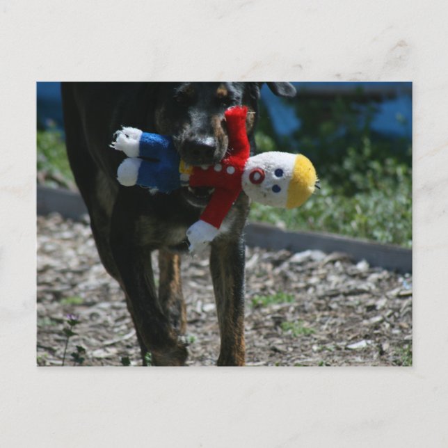 Carte postale Oh Non Monsieur Bill (Devant)