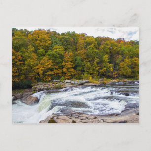 Carte Postale Ohiopyle Falls, Pennsylvanie