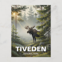 Oie dans le parc national de Tiveden Suède Voyage