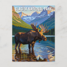 Oie dans le parc national des Glaciers Voyage