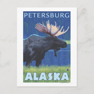 Carte Postale Oie de nuit - Petersburg, Alaska
