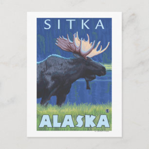 Carte Postale Oie de nuit - Sitka, Alaska