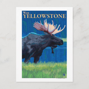 Carte Postale Oie de nuit - West Yellowstone, Montana