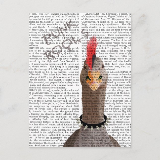 Carte Postale Oie de Punk Rock (Devant)