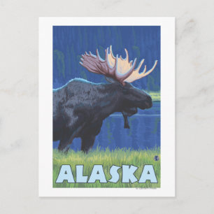 Carte Postale Oie lune d'Alaska