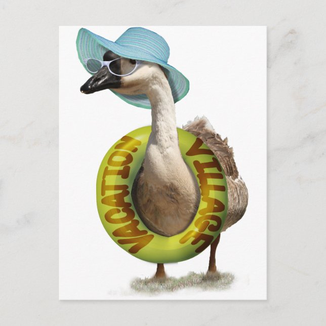 Carte Postale Oie mignonne avec Casquette d'été et lunettes de s (Devant)