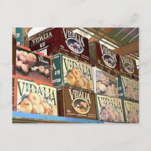 Carte Postale Oignon