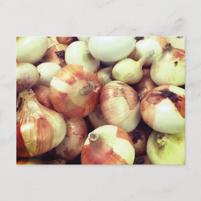 Carte postale Oignons doux (Devant)