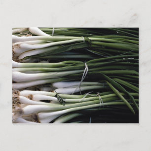 Carte Postale Oignons verts