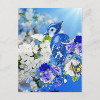 Carte Postale oiseau