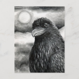 Carte Postale Oiseau 64 Corbeau de corbeau
