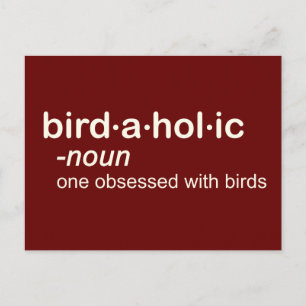 Carte Postale oiseau a hol ic