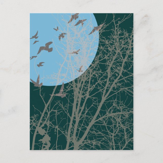 Carte Postale oiseau à silhouette (Devant)