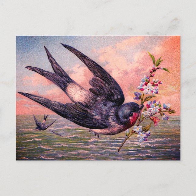 Carte Postale Oiseau Avalé Bleu Orange Et Jolies Fleurs (Devant)