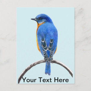 Carte Postale Oiseau bleu