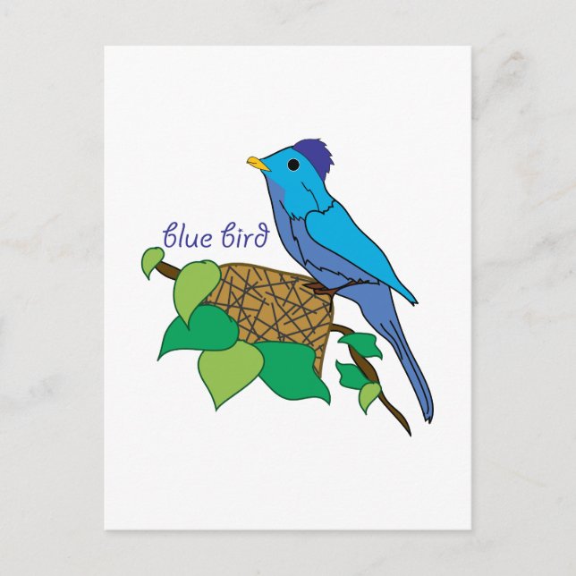 Carte Postale Oiseau bleu (Devant)
