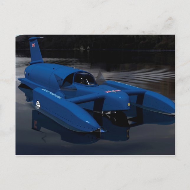 Carte Postale Oiseau bleu K7 (Devant)