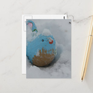 Carte Postale Oiseau Bleu Neigeux