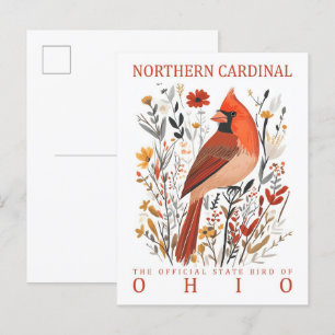 Carte Postale Oiseau cardinal du nord de l'Ohio USA