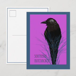 Carte Postale Oiseau -- Cassenoix du sud
