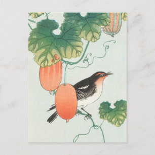 Carte Postale Oiseau chanteur en concombre Tableau Plante par Oh