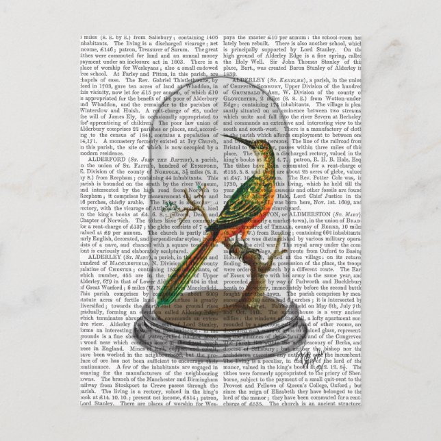 Carte Postale Oiseau dans cloche en verre (Devant)