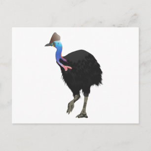Carte Postale Oiseau de Cassowary