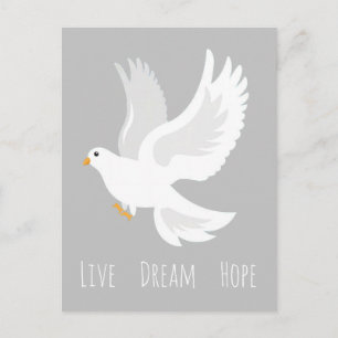 Carte Postale Oiseau de colombe blanche sur gris