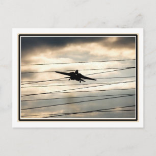 Carte Postale Oiseau de guerre